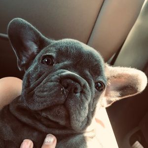 Meet your Posher, Zoe